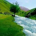 Abid Sadiq - @abid.sadiq.1232 - Instagram