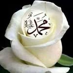 Abid Sadiq - @abidsadiq522 - Instagram