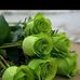 Abid Shakeel - Facebook