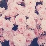 Abida Abbasi - @abbasiabida - Instagram