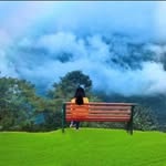 abida abbasi - @abida8133 - Instagram