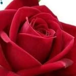 Ahmed abbasi - @abida._.abbasi - Instagram