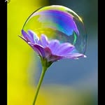Abida Afzal - @mrsafzal083 - Instagram
