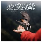 Abida Afzali - @abida.afzali12025 - Instagram
