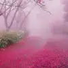 Abida Ahmad - @abida.ahmad3 - TikTok
