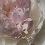Abida Ali - @abida._.ali - Instagram