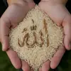 abida.ali - @.abida.ali7 - TikTok