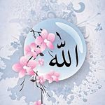 A K - @abidaazam357 - Instagram