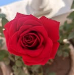 Abida Azam - Facebook