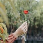 abida azam - @azam.abida - Instagram