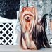 Gail Anker Webster - Facebook