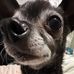 Abigail Anson - Facebook