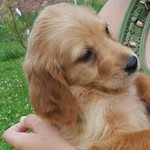 Abigail Anson Sims - @abigail_anson - Instagram