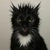 abigailapplegate - @abigailapplegate - TikTok