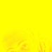 Aby Backer - Facebook