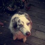 Abigail Bacon - @baconabigail - Instagram