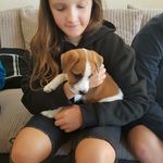 Abigail Bacon - @abibacon03 - Instagram