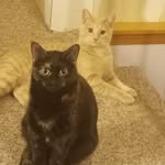 Abigail Barry - @valley.barry.7311352 - Instagram