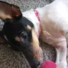 Abigail Bartee - @abigail.bartee - TikTok
