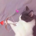 Abigail bartolo - @abigail_loveflutter - Instagram