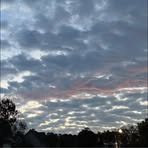 Abigail Basham - Facebook