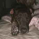 Abigail Beale - @abigail138522 - Instagram
