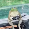 Bee - @abigail.beecher - TikTok
