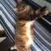 Abigail Benoit - Facebook