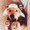 Abigail_lauren - @abigailandersonberard - TikTok