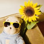 Abigail_Beth - @ablovewell - Instagram