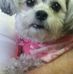 Gail Betts - Facebook