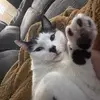 Abigail Bingham - @m30w275 - TikTok