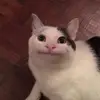 abigailbolin - @abigailbolin - TikTok