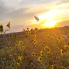 Abigail Borgstedt - @abigail.borgstedt - TikTok