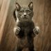 Abigail Bouchard - Facebook