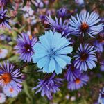 Abigail Bouchard Photography - @abigailbouchardphotography - Instagram