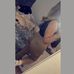 Abigail Bowen - Facebook