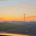 Abigail Boyd - @picklethebread - Instagram