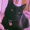 Abigail Boyd - @manoncronches - TikTok