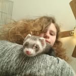 Abigail Gulbranson - @gulbransonabigail - Instagram