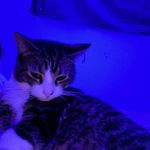Abigail Winebrenner - @abigail.winebrenner - Instagram
