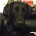 abigail briggs - @chickin_pot_pie_whats_up - Instagram