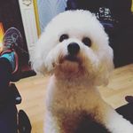 Abi-gail Britton - @ab_1535756 - Instagram