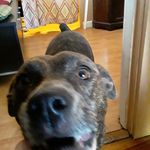 Abi_lovepizza - @abigailbrowning31 - Instagram