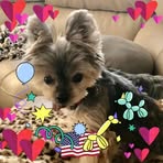 Abigail Buford  - Facebook