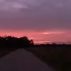abigailbunch - @abigail.bunch4 - TikTok