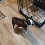 Gail Bunch - Facebook