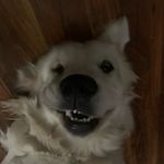 Abby - @abigail.burke23 - Instagram