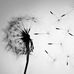Abigail Carter - Facebook