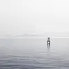 AbigailChaney - @abigailchaney6 - TikTok